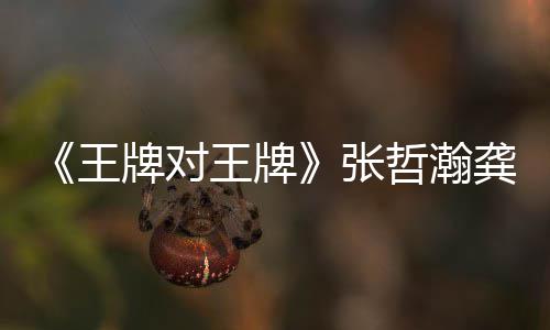 对王第几牌对牌俊王王牌王牌张哲瀚在哪张哲瀚龚一期龚俊期有