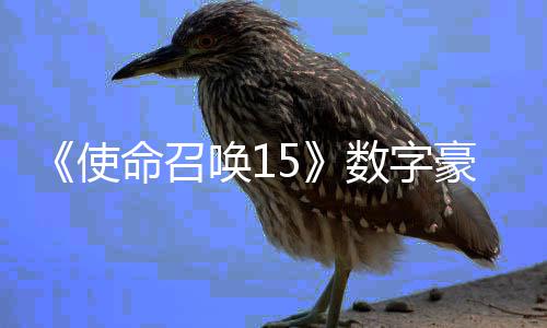 命召加强架X价9版上使数字商城 售唤1豪华元