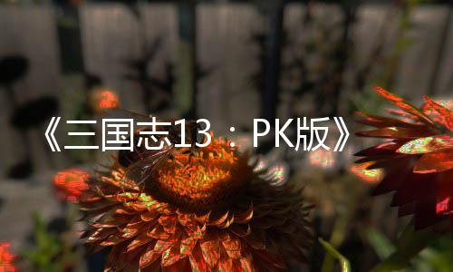 技培K版三子特孩养攻略国志