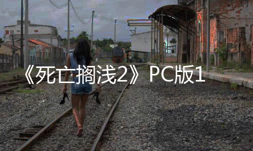 丁发多项C版6补布 崩溃亡搁死性能修复优化浅2