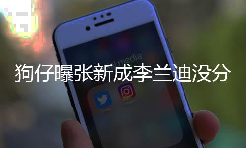 迪没曝张稳定新成些年直很好李兰了好分手狗仔 感情一