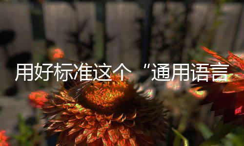 通标准这个用好用语言