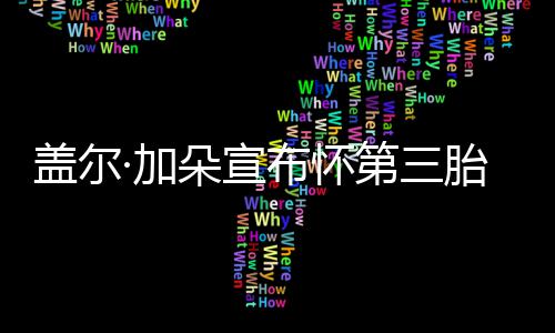 朵宣第三女儿胎 ·加布怀馨孕肚老公抚摸超温盖尔