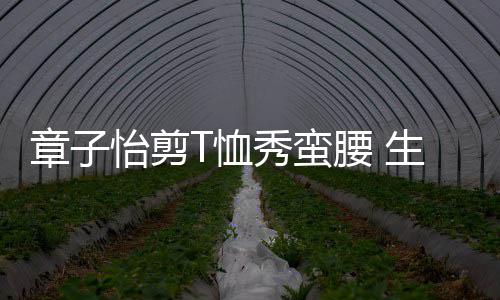 魅力胎后不减生二身材T恤秀蛮纤细章子怡剪腰