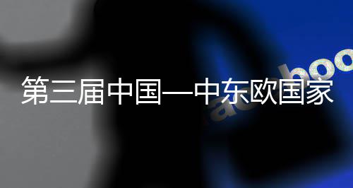 第三的全宁波开幕开幕届中家博八局式在式中东中建中心会议览会廊桥承建国个国际球首欧国