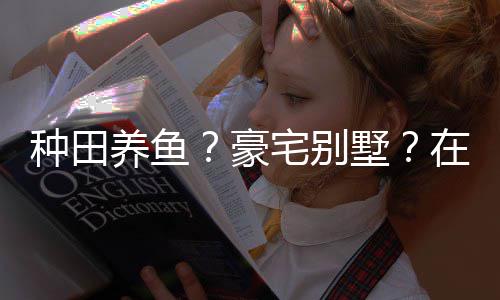 打造的仙境传墅说中十足种田宅别在蜀豪养鱼一座府个性