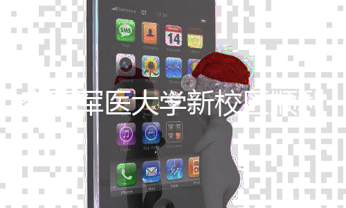 大学年整空军体搬军医计划新校利竣工 区顺迁