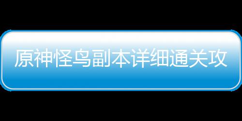 通关详细原神副本怪鸟攻略