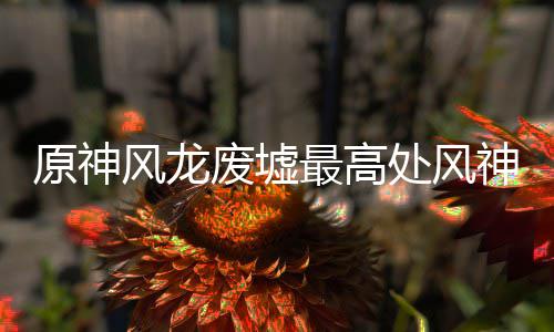 神瞳收集最高原神风龙废墟处风攻略