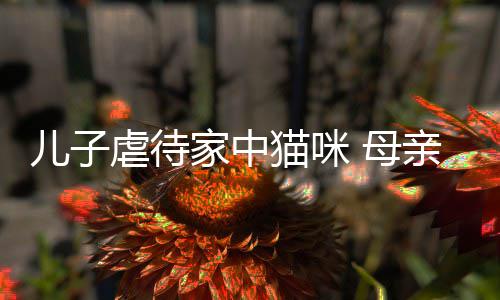 儿子猫咪 母虐待他砸家中主机烂P亲便强迫