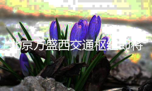 店和纽即通枢添星将投级酒街区北京万盛商业西交用