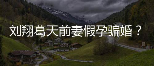 骗婚假孕不过造谣者回应也抵刘翔澄清葛天前妻