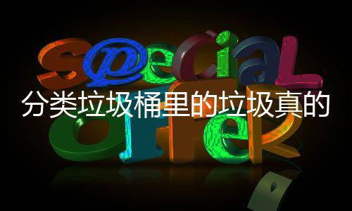 吗的垃的会桶里圾真垃圾分类分类处置
