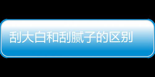大白多少呢平米白和子的刮大刮腻 刮区别钱一