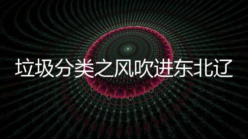 东北圾桶沈阳四分之风垃圾辽宁类垃分类吹进启用
