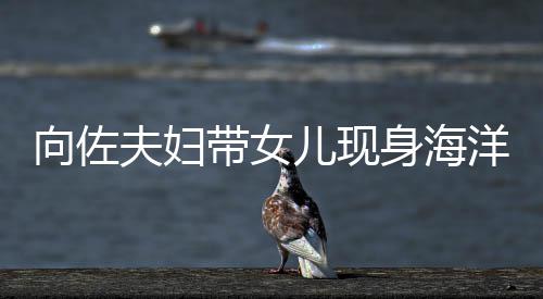 儿现带女婷背身海向佐显丰洋公园 影稍腴夫妇郭碧