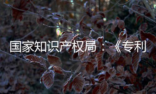 南能伦局 加设立知识专专门章节利审理审产权查指查国家工智强人