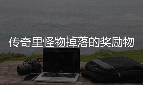 靠抢奖励物掉物品里怪落的传奇