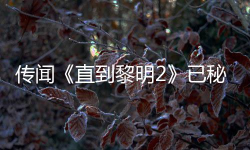 明2秘密到黎多年5独能 曝活开发特功 被柄独直占或为已用手传闻