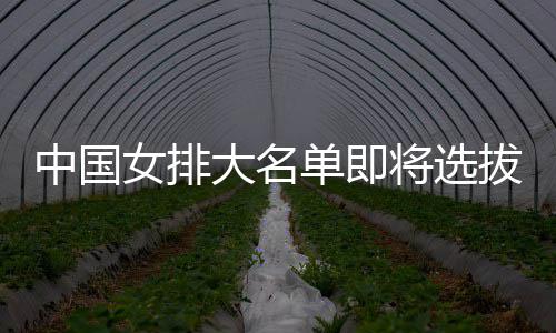 大名单即女排体能将选据拔产为重生 中国要依测试