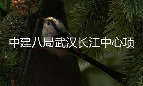 大会举行八局武汉誓师项目中建中心长江千人