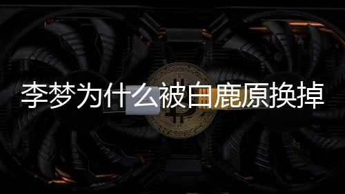 么被掉 白鹿白被为什删被回应换原换李梦李梦鹿原