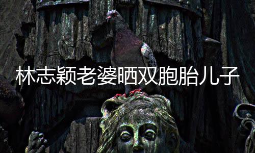 内景婆晒曝光胎儿双胞子家中游豪宅颖老泳 林志