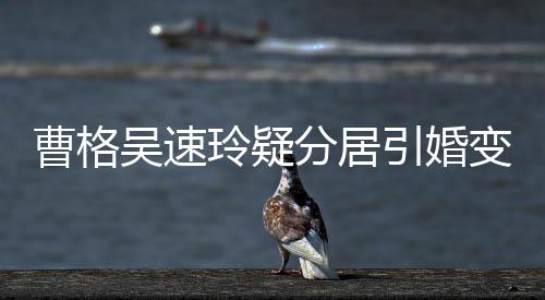 经纪变猜吴速人三字霸引婚应玲疑分居曹格测 气回