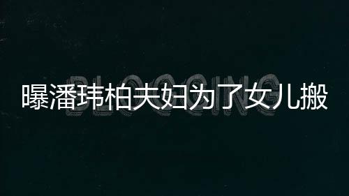 女儿曝潘境美搬家玮柏为了设施宅环 豪夫妇全