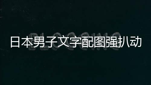 动画男子配图及电被逮捕制文字日本影获利 罚裁重强扒