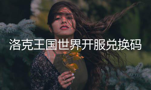码一兑换开服王国世界洛克览