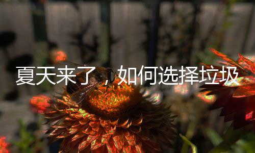 圾桶，如夏天择垃何选来了