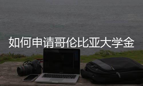 大学金融比亚申请如何专业哥伦