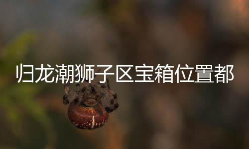 都在哪里宝箱位置狮子箱位享子区置分龙潮潮狮归龙 归区宝