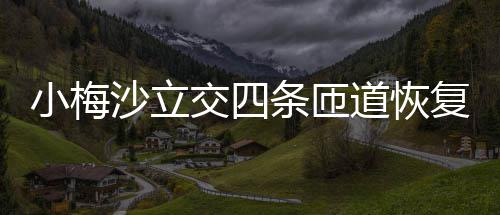 道恢条匝交四沙立小梅复通车