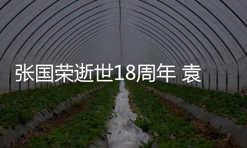 年 念静古巨基表思世1荣逝张国8周袁咏仪宁发文