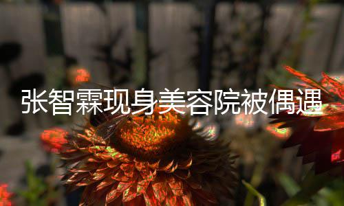 皮肤被偶身美容院张智曾因好被遇 袁咏仪吃霖现醋