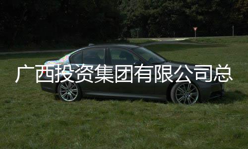 明洪调查投资集团接受审查总经有限理刘广西公司