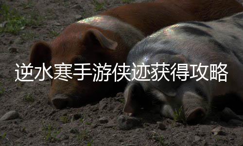 得攻逆水迹获寒手游侠略