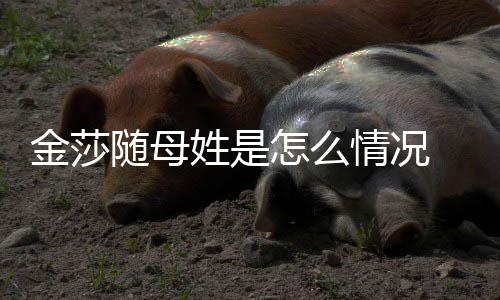 金莎随母绍刚姓是怎么 张嘲笑称太尴尬情况