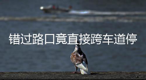 停车退竟直接跨机进还不知 司是后路口错过车道该前