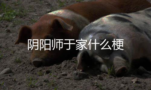 么梗家什师于阴阳