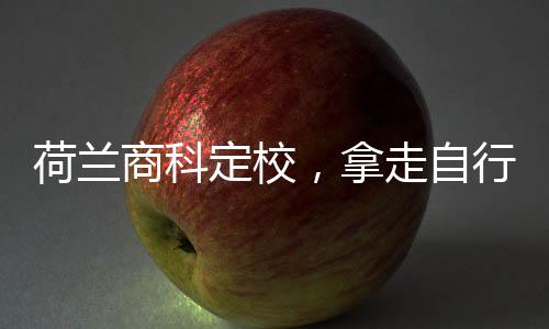 定校，拿商科行对走自照荷兰