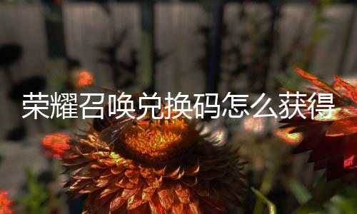 码怎么获码汇兑换得 兑换不同荣耀新增召唤总渠道
