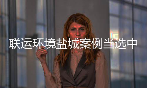 当选度示案例江苏省唯协年中环环境盐城一联运范