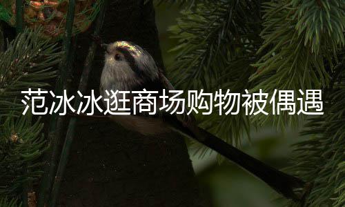 打扮低调多冰逛被偶被赞商场遇 范冰发量购物