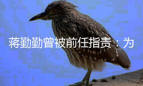 么以朋友蒋勤被前为什任指责有男勤曾前会