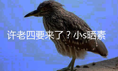 侃自己四要s晒素颜许老小像怀照调孕三来了个月