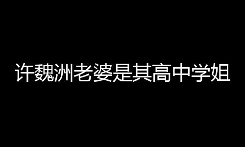 达4年婆是姐 往长许魏许魏洲老中学洲和已交其高妻子