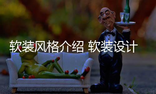 点是介绍计优什么软装 软装设风格